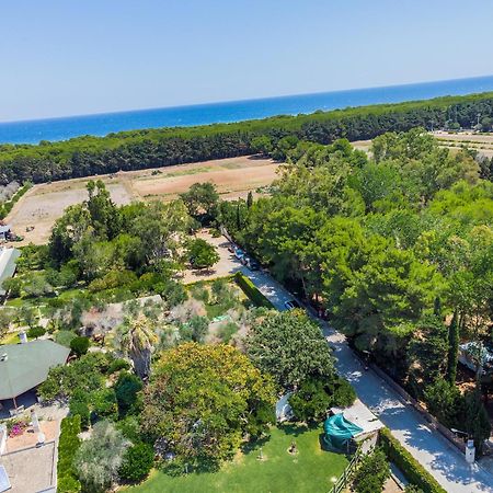 Agriturismo Salos Serra Serra Alimini Exterior foto