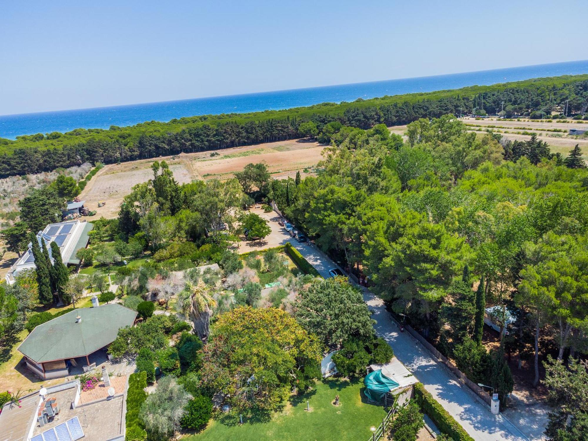 Agriturismo Salos Serra Serra Alimini Exterior foto